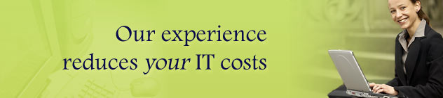 Our experience reduces your IT costs